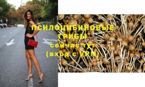 герыч Вяземский