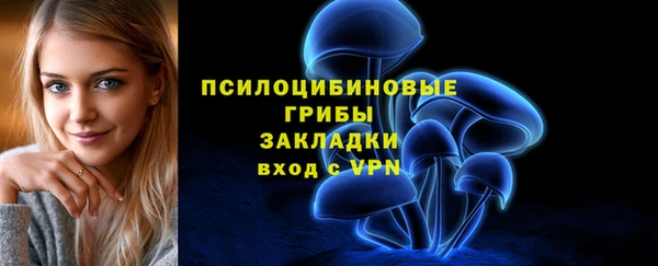 apvp Вязники
