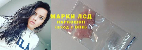 тгк Володарск