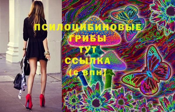 герыч Вязьма